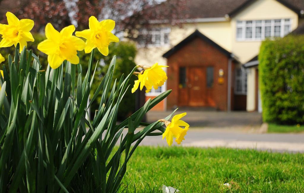 Dunmow Guest House Great Dunmow Exterior foto